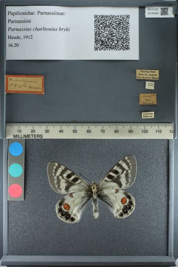 Media type: image;   Entomology 180487